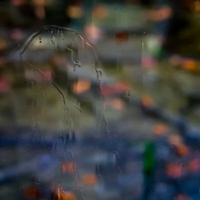 Rainy Day Colours – leaves on patio © Graham Dew 2012