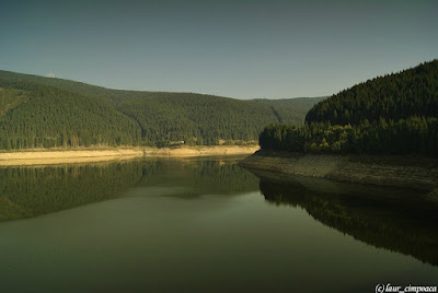 Transalpina  (DN 67C)