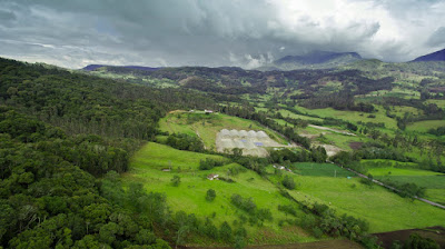 https://www.notasrosas.com/Corona celebra Día de los Parques Nacionales Naturales de Colombia