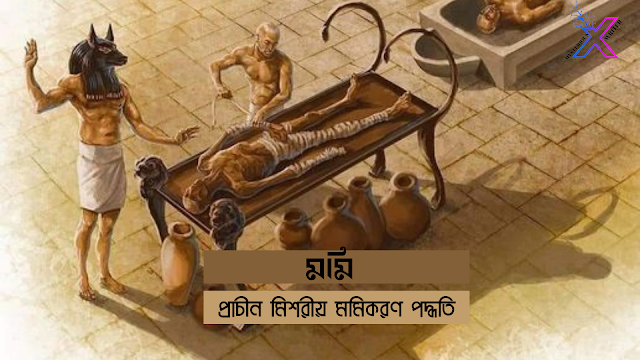 মমি: প্রাচীন মিশরীয়দের মমিকরণ পদ্ধতি