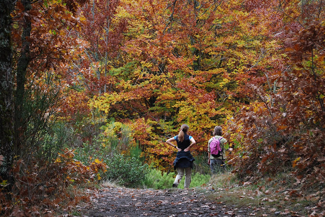 Dos chicas paseando por un sendero en un bosque otoñal