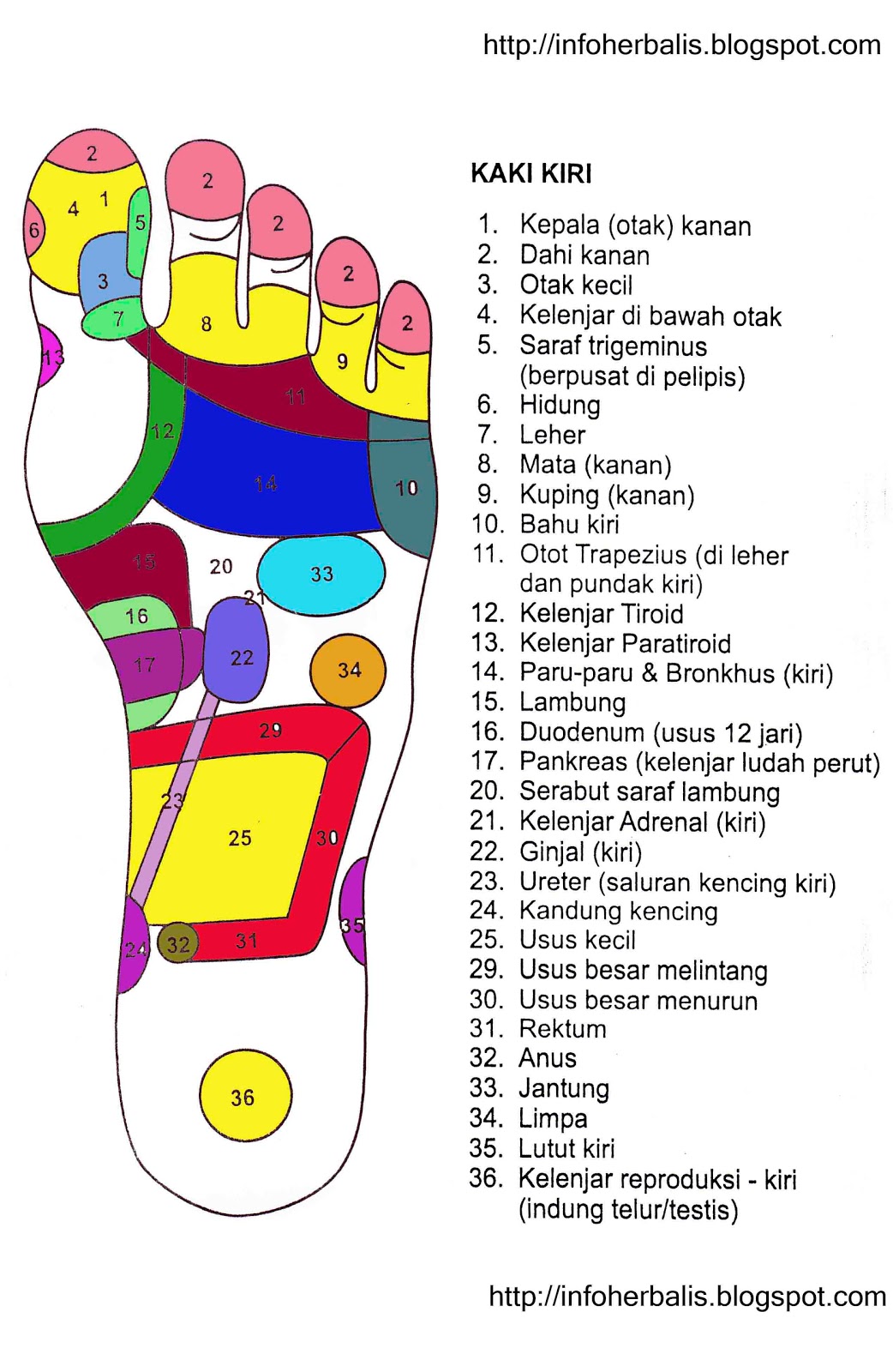 Titik Pijat Bagian Leher - Pijat Gan