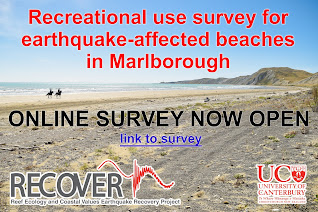 Marlborough beach survey