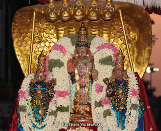 Aadhi Sesha Vahanam,Gopura Dharisanam,Vaigasi, Purappadu,Video, Divya Prabhandam,Sri Parthasarathy Perumal, Triplicane,Thiruvallikeni,Utsavam,Gajendra Varadhar,Brahmotsavam