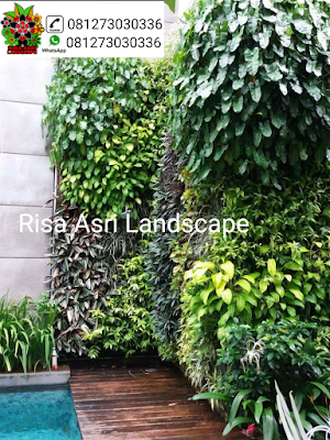 gambar taman vertikal, vertical garden, vertical green, taman vega, taman dinding, kantong