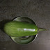 BENEFITS  OF   EGGPLANT/BRINJAL
