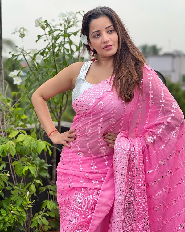 Monalisa pink saree hot curvy actress