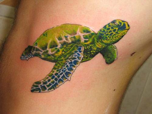 Turtle Tattoos