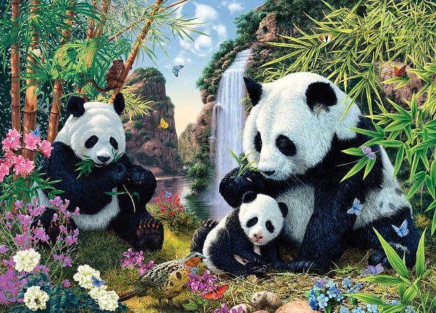 Riddle of Finding Hidden Panda in Picture Puzzle