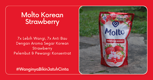 molto korean strawberry