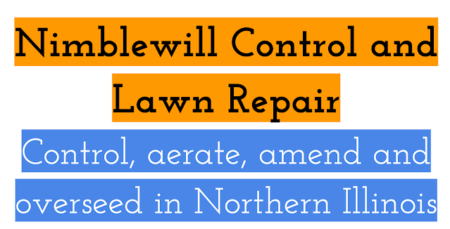 Nimblewill Lawn Control in Northern Illinois