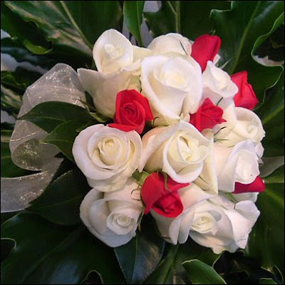 https://blogger.googleusercontent.com/img/b/R29vZ2xl/AVvXsEgJu-dKIYWQHRgrn7uaCrvVs2bDXbX2pcHpKIOKcfEEJBVLkbiciWFTbTToL17TMRCkkjk79O9ssGzgZIMXxYZmDjcqmhBmmWf0oGUxLTXVPkzVaUCrbjh-pMBPcNke-IdoM2v13TH8alhr/s400/bunga+rose.jpg