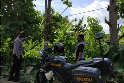 Hendak Potong Pohon, Pria di Ponorogo Tewas Tersengat Listrik