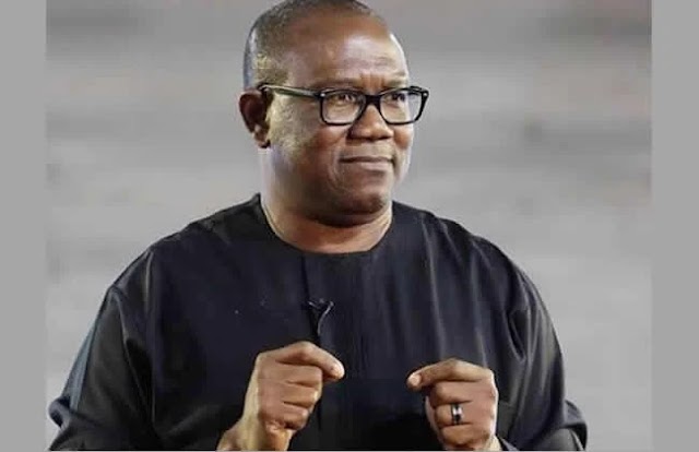 Why I quit PDP, Presidential primary –Peter Obi