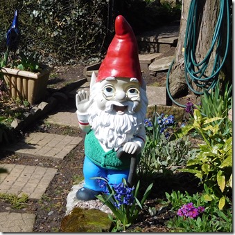 9 new gnomes in the lock cottage garden