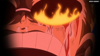 ワンピースアニメ ドレスローザ編 699話 ドフラミンゴ 幼少期 DonQuixote Doflamingo | ONE PIECE Episode 699