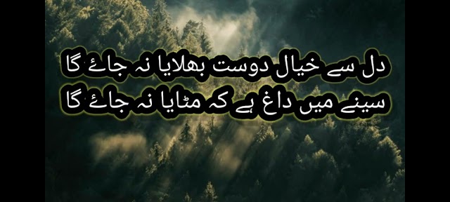 Altaf Hussain Hali Poetry