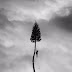 Manchester Orchestra - New Song & Album Details