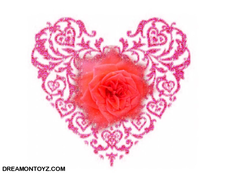 wallpaper heart rose. with red rose wallpaper