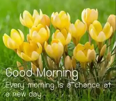 Good Morning Image | Good Morning Flowers 