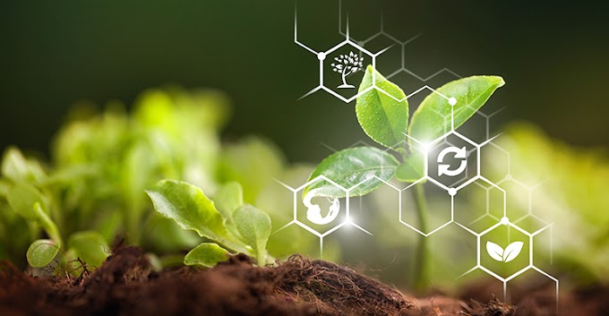 भारतातील शेतीत आधुनिक तंत्रज्ञान | Latest Technology In Agriculture in India in Marathi.