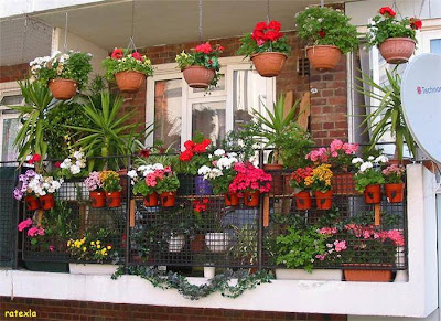 garden balcony