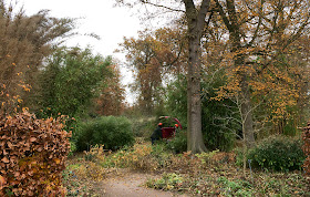 Cutting down bamboo.  Wisley Gardens, 3 December 2013.