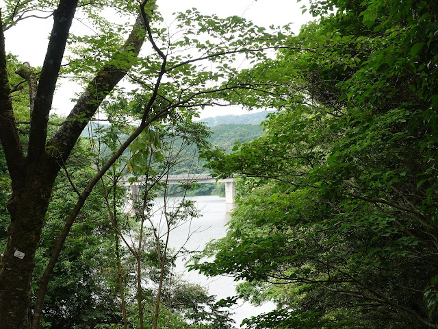 鳥取県西伯郡南部町下中谷　緑水湖遊歩道　上長田大橋