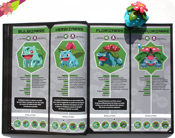 Pokédex - De kantos à Kalos - Hachette jeunesse