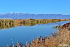 Bear River, Utah 