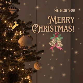 Image of merry christmas instagram post to friends