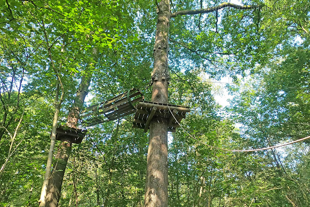 Natura Parc Tree Top Adventure Activities at Lac de l'Eau d'Heure