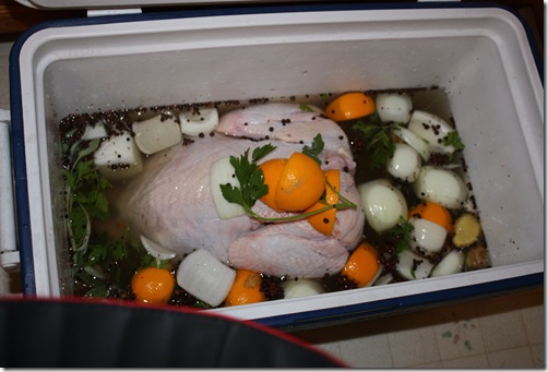 Thanksgiving 2009 036