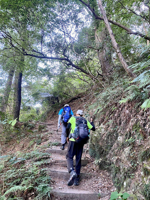 往東松鶴山