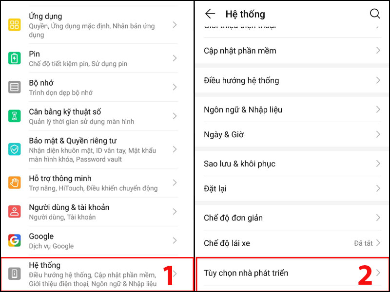 Chọn Tùy chọn nhà phát triển