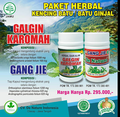 Nama obat alami untuk ginjal