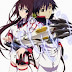 Sinopsis Anime Infinite Stratos