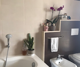 piante nel bagno