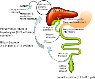 bile reflux treatment,chronic bile reflux gastritis,gastric acid reflux,mucus reflux,bile reflux treatment over the counter
