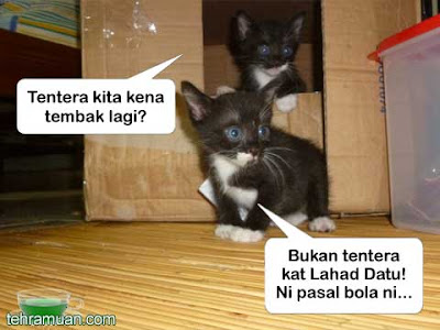 anak kucing