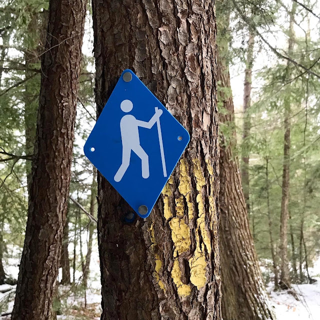 Silent Lake Provincial Park winter