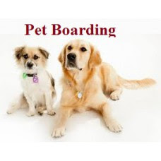 https://www.canaanpetresort.com/boarding.html