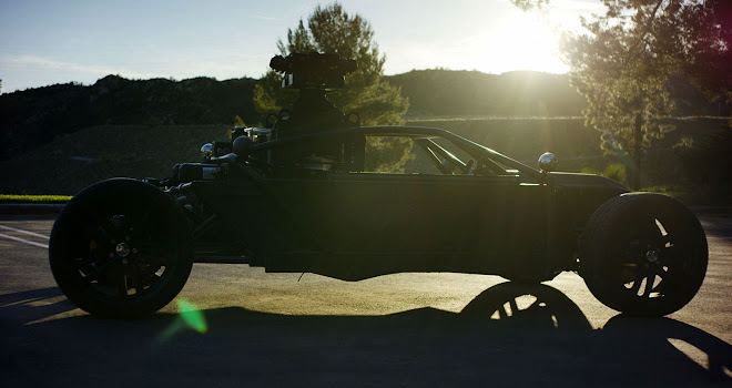 Mill Blackbird side view at sunset