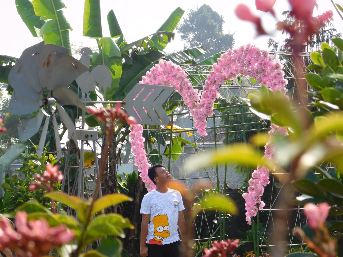  Taman  Bunga  Begonia yang Penuh Cinta  JurnaLand