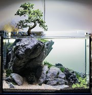 17+ Info Baru Lampu Unik Aquarium