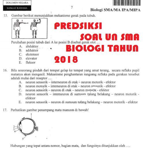 intro pendidikan