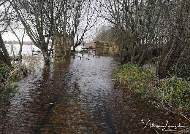 RSPB Ham Wall flooded access to Tor hide