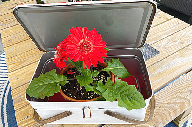 enamelware metal picnic basket with red flower