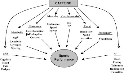 Caffeine Effects on And Timing Have An Effect Plus Small Doses Are Just As Effective As