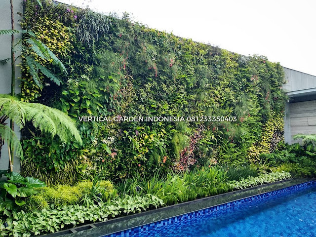 VERTICAL GARDEN INDONESIA SPESIALIS JASA PEMBUATAN VERTICAL GARDEN DI CILEGON DAN DI SELURUH WILAYAH CILEGON DENGAN TENAGA YANG PROFESIONAL DAN DAPAT DI PERCAYA YANG SELALU MENGUTAMAKAN SEBUAH MUTU DAN KUALITAS PEMASANGAN VERTICAL GARDEN/TAMAN DINDING, JASA TUKANG TAMAN VERTICAL CILEGON, JASA VERTICAL GARDEN CILEGON